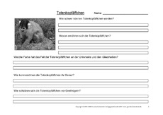 Totenkopfäffchen-Fragen-2.pdf